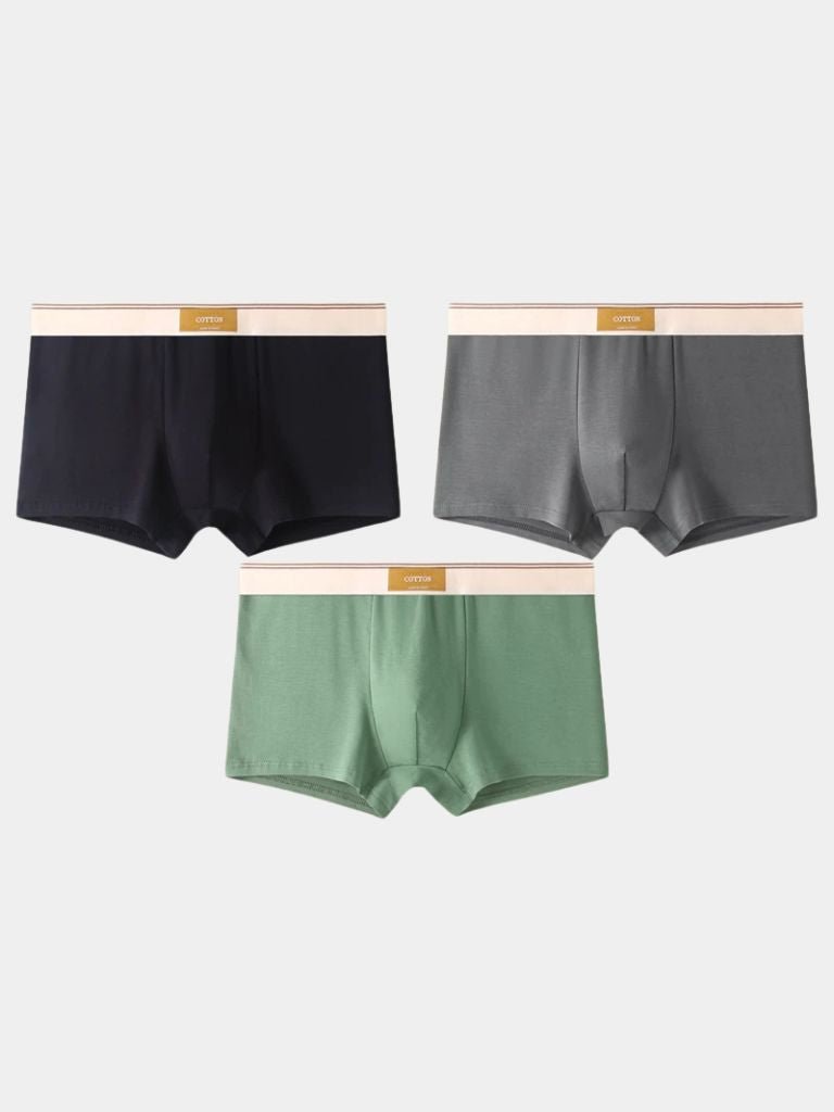 https://cdn.shopify.com/s/files/1/0713/1050/8289/files/savile-form-boxer-brief-set-cross-crown-431372.jpg?v=1750143187