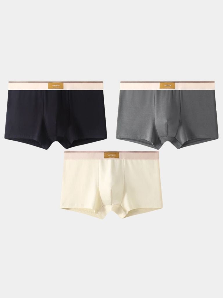 https://cdn.shopify.com/s/files/1/0713/1050/8289/files/savile-form-boxer-brief-set-cross-crown-361940.jpg?v=1750143130