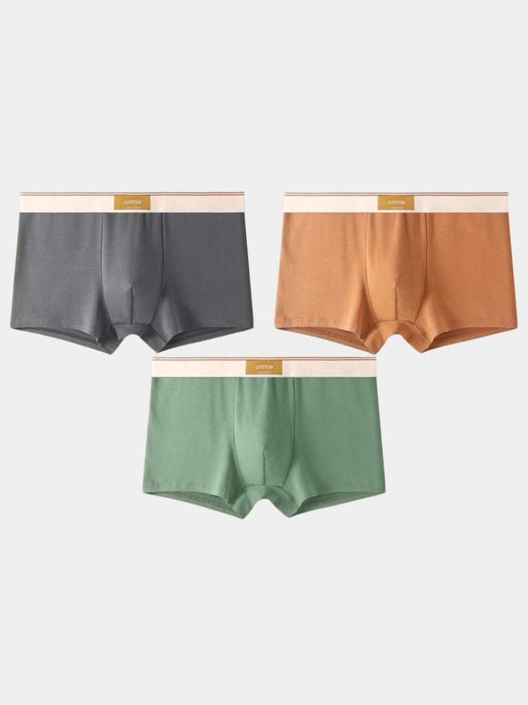 https://cdn.shopify.com/s/files/1/0713/1050/8289/files/savile-form-boxer-brief-set-cross-crown-384539.jpg?v=1750143130