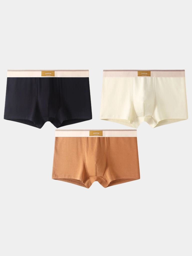 https://cdn.shopify.com/s/files/1/0713/1050/8289/files/savile-form-boxer-brief-set-cross-crown-545643.jpg?v=1750143130