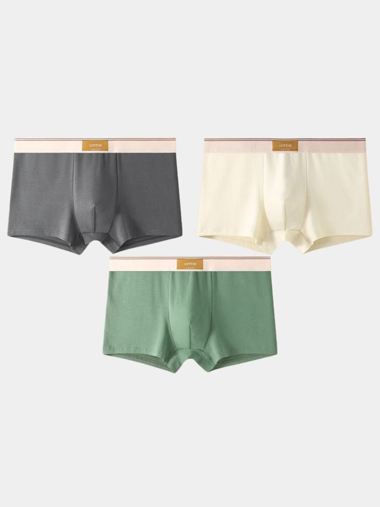 https://cdn.shopify.com/s/files/1/0713/1050/8289/files/savile-form-boxer-brief-set-cross-crown-885564.jpg?v=1750143187