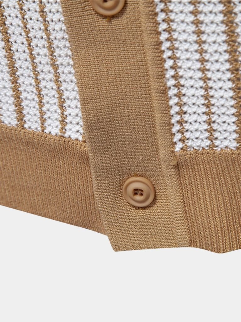 Striped Knit Polo Shirt - Areistore